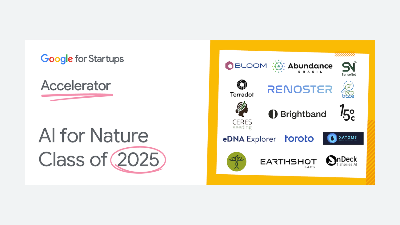Meet Google for Startups Accelerator: AI for Nature Cohort